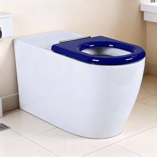 Asta Geberit inwall disable toilet suite 795*355*425mm (Sigma+KDK106)