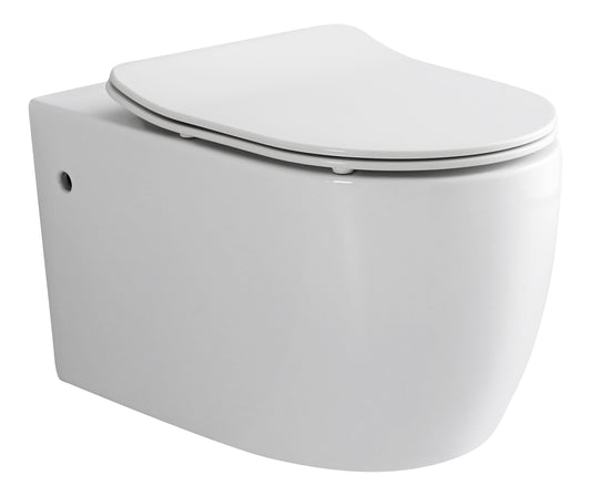 Aqualis Rimless Wall Hung Pan Dual Flush 585*360*455mm V305R