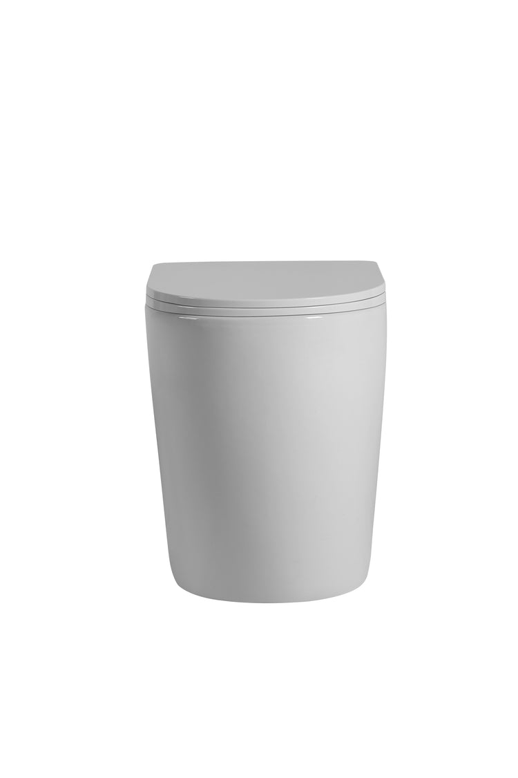 Elvera Geberit In Wall Floor Toilet Suite Sigma8/Alpha12+KDK107R